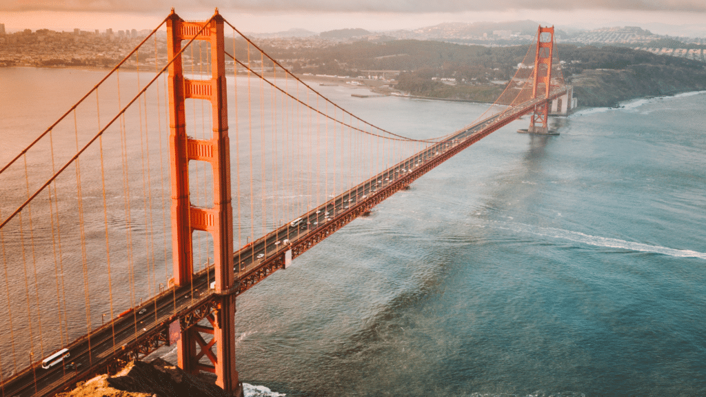 What to Do with Your Insurance Policies When Leaving California